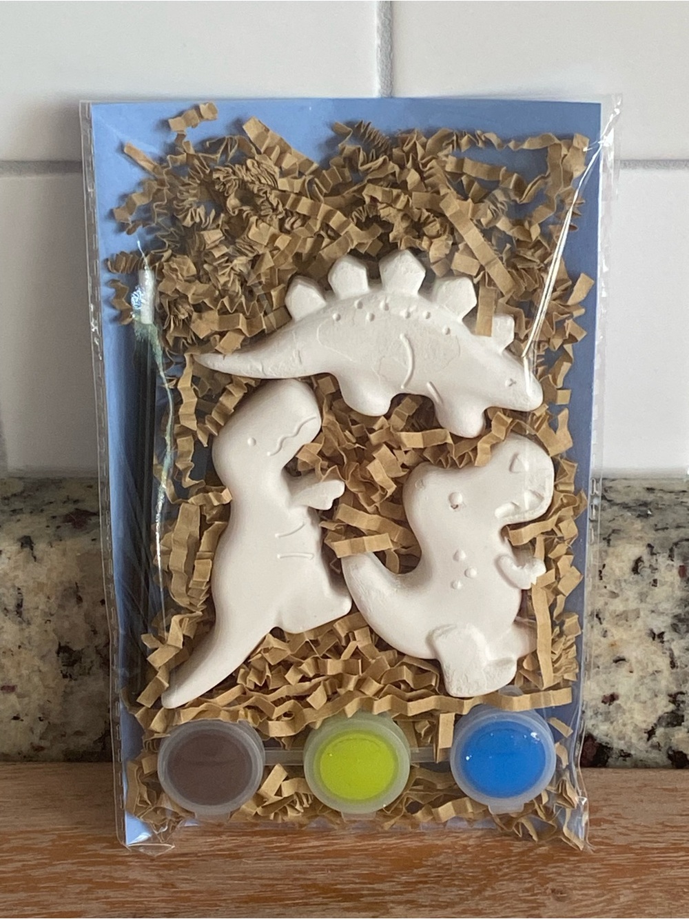 Dino Paint-Your-Own Mini Set